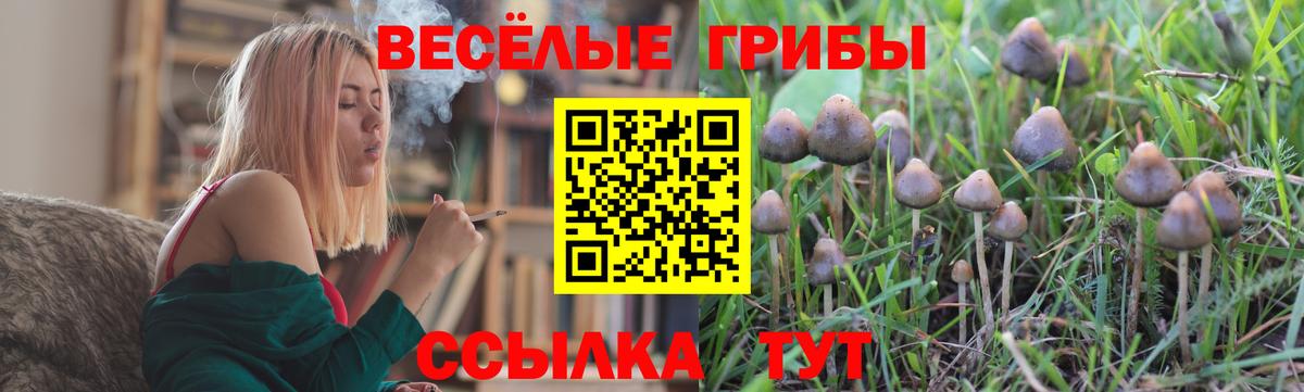 Псилоцибиновые грибы MAGIC MUSHROOMS Сокол